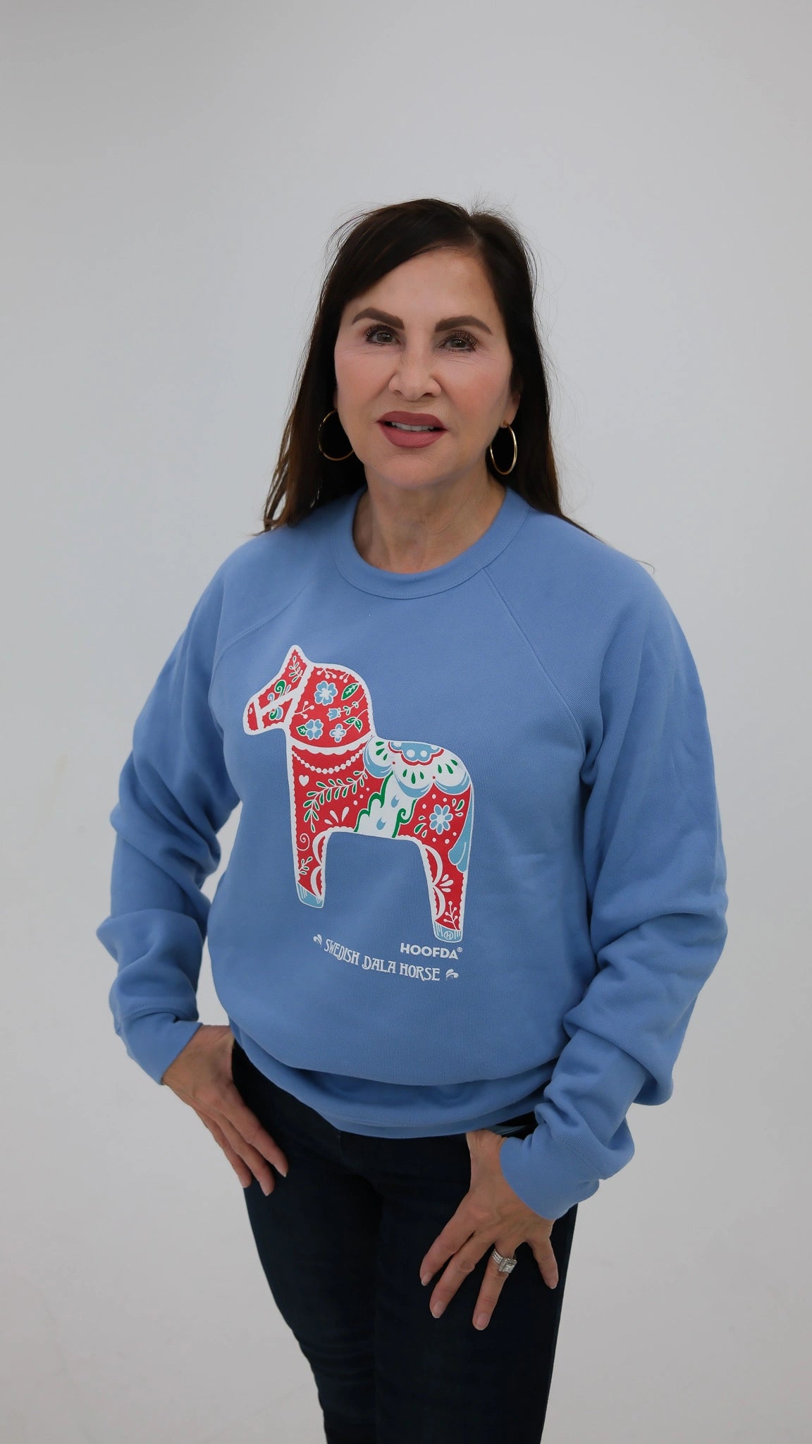 Swedish Artsy Dala Horse Carolina Blue Fleece Raglan