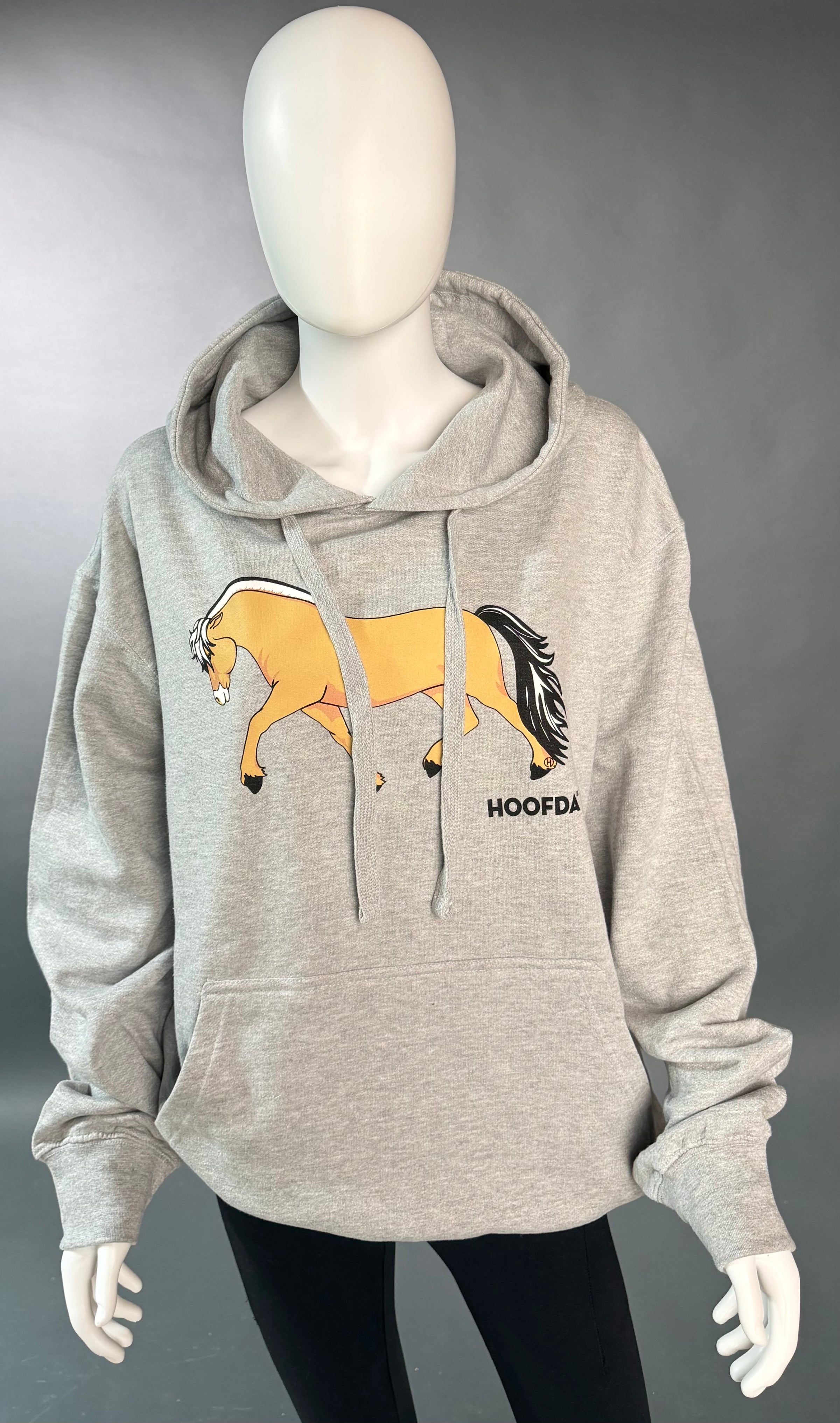 Norwegian Fjord Horse Athletic Grey